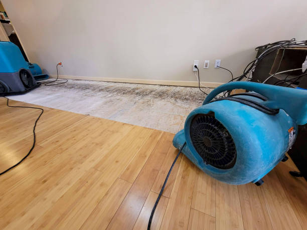 Professional Basement Flood Cleanup technician working in Holdingford, MN